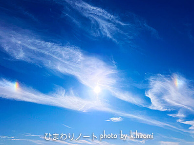 2025ǯ12��22���߻�