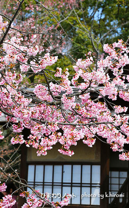 ���ź���