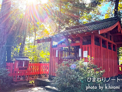 ���Ͽ�����