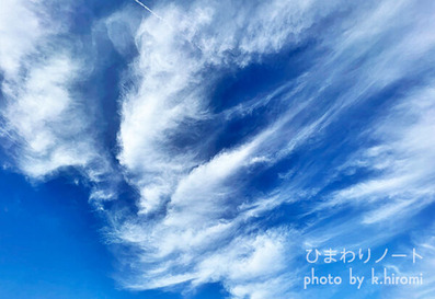 ���ͤ� ����ä����ΤǤ�����