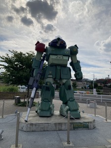 レッドショルダー逆光
