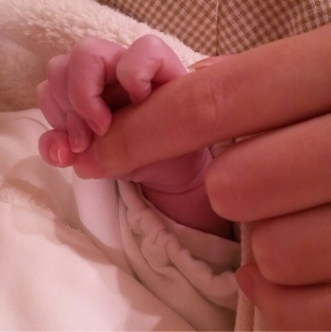 {0A04B096-632D-4AAC-A246-F9B1FB6F1B8C:01}