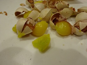 IMG_7334