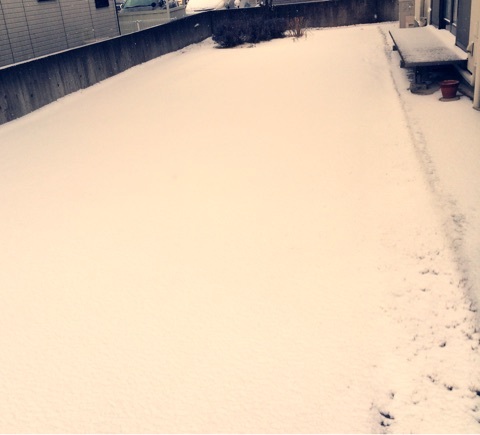 {FCB24999-8050-49C7-81F2-4E57E7006BE5:01}