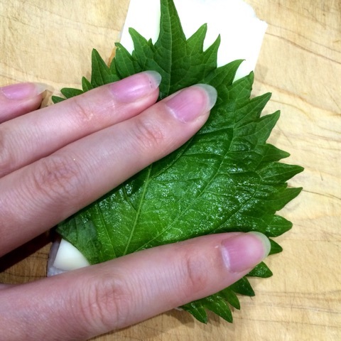 {D2D1BEE7-7AD7-461F-9779-60548437FB05:01}