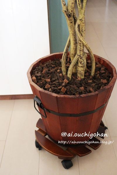 友達の目をごまかすことに成功した観葉植物のフェイクグリーン あいのおうちごはん Powered By ライブドアブログ 友達の目をごまかすことに成功した観葉植物のフェイクグリーン あいのおうちごはん Powered By ライブドアブログ