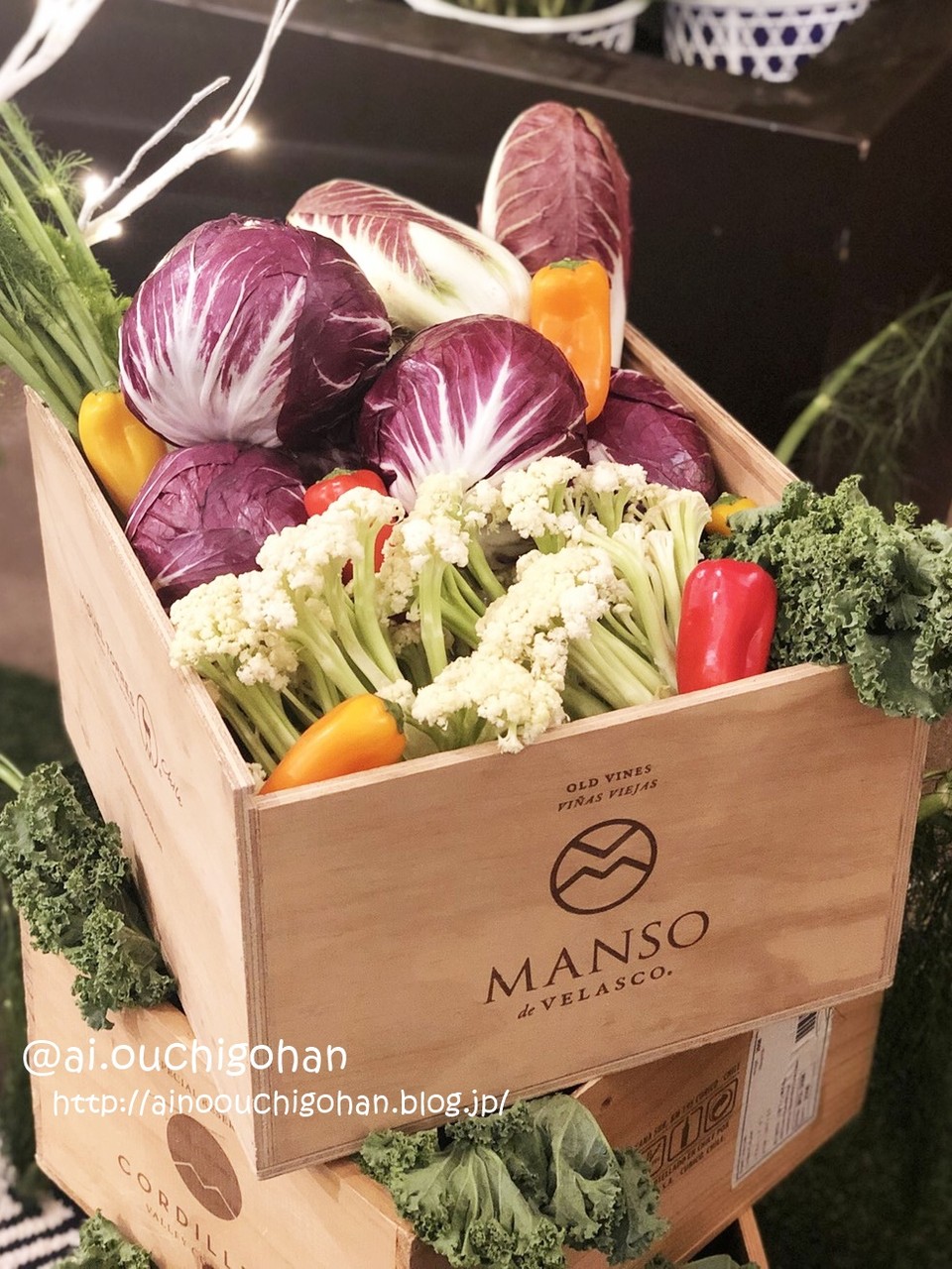 イベント イタリア野菜を知る あいのおうちごはん Powered By ライブドアブログ イベント イタリア野菜を知る あいのおうちごはん Powered By ライブドアブログ