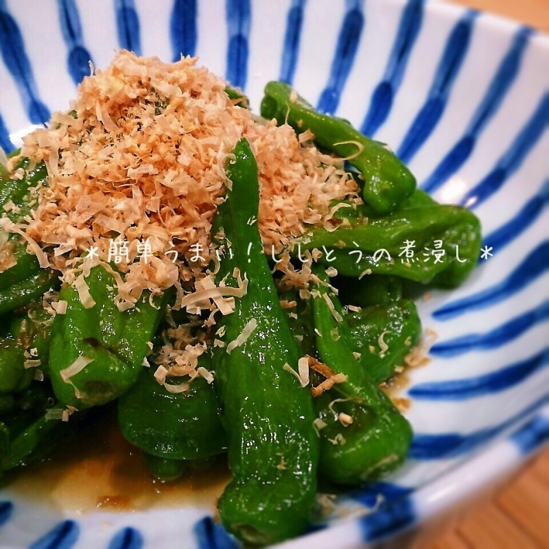 簡単！冷しても熱くてもうまい！ししとうのシンプル煮浸し♪