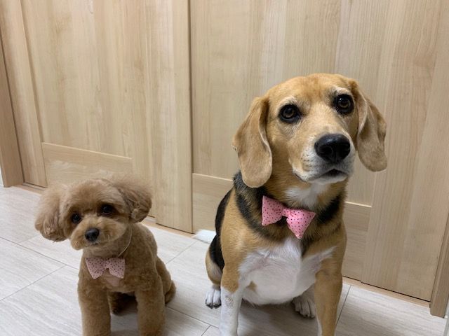 19年10月 Tamariのたまりば