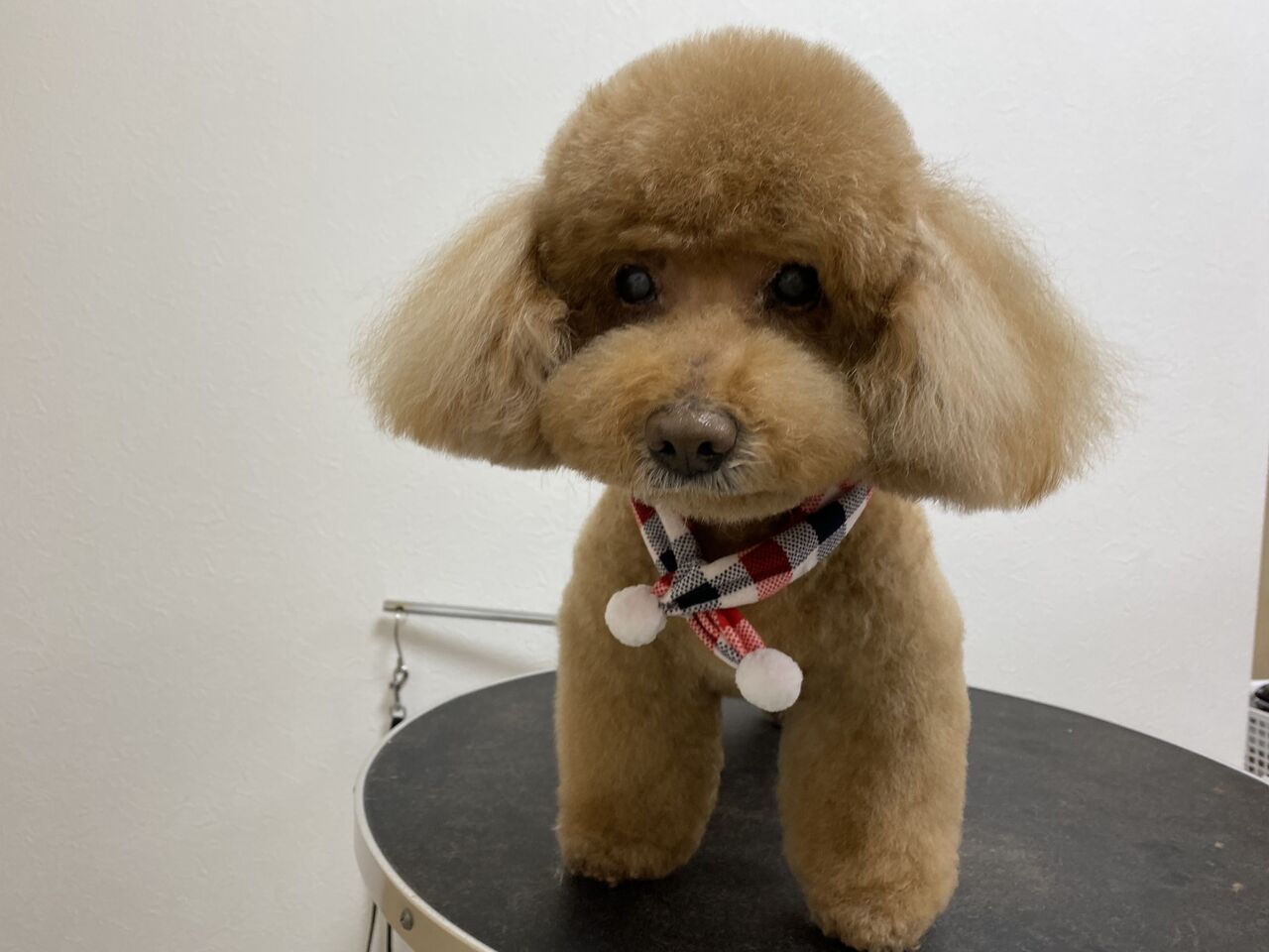 Tamariのたまりば