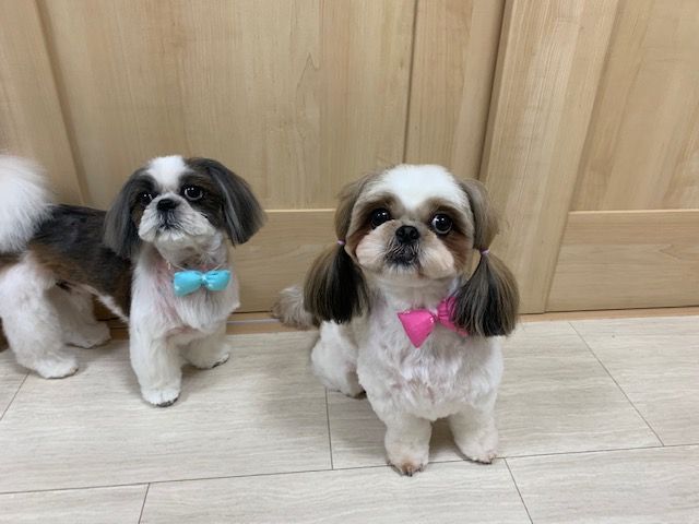 19年10月 Tamariのたまりば