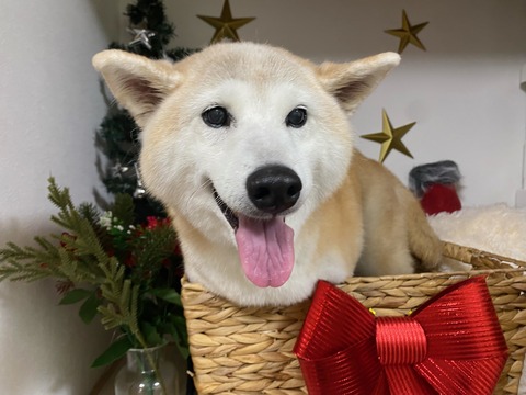 image0 - 2022-12-22T132159.492
