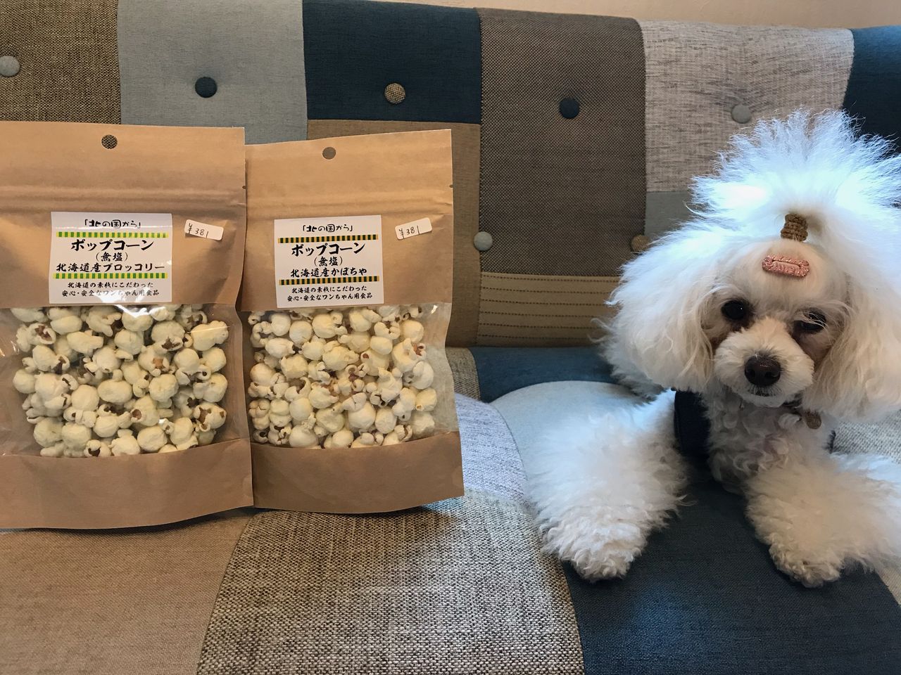 ワンコ用ポップコーン Tamariのたまりば