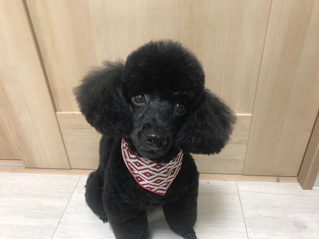 夏の散歩は Tamariのたまりば