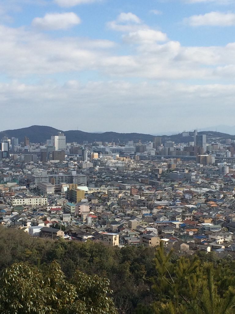 シリーズ第１弾 魚見山 あいあい整骨院ブログ