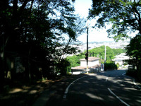 1306096