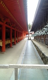 17b5333f.jpg