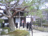 SBSH0401