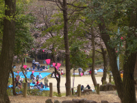 �������