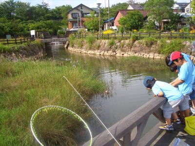 尾張旭市にある維摩池公園での魚釣り