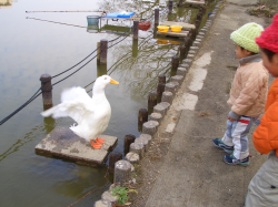 ���ҥ�ȻҶ�