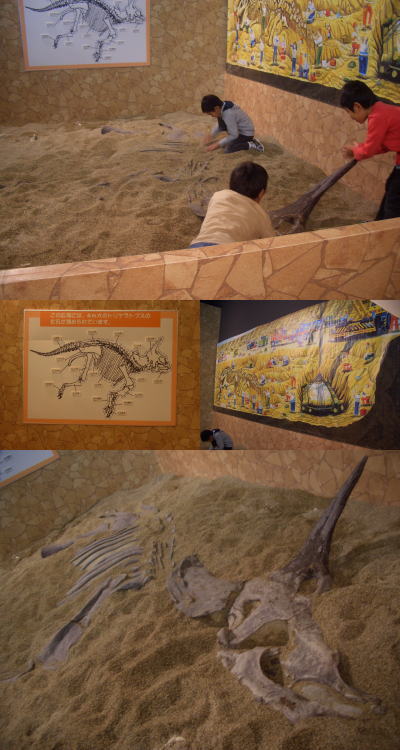 �ȥꥱ��ȥץ�