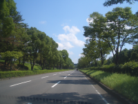 道路の景色