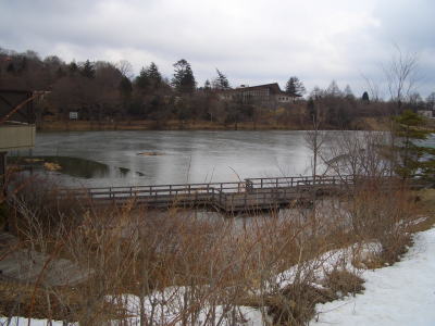 �Ӥ�ĥ��줿ɹ