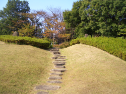 ������ʿ�