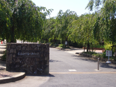 �ե롼�ĥѡ�������