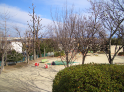 公園の風景