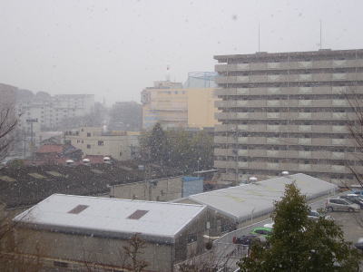 名古屋市緑区の雪景色