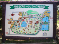 �ե롼�ĥѡ�������