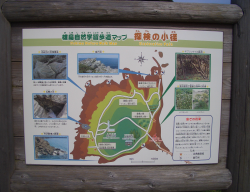 ͺ������