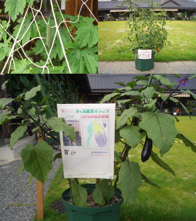 ��ڤ�ȭ����