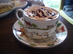 ���祳�ߥ륯