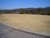 公園風景