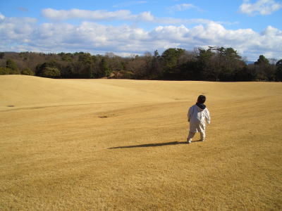 植物園内にある広芝生