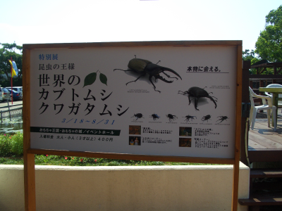 カブト・クワガタ展