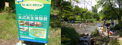 ��������ο�ͷ�ӤǤ�����