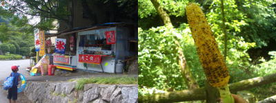 �䲰Ʋ����ν�Ź�ǹ��������ƥȥ��������