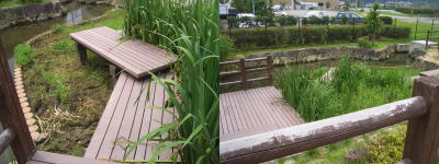 ���ࡦ�������������ʪ����©