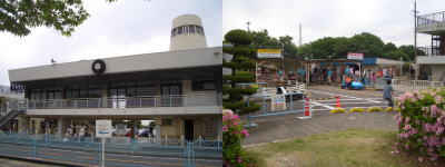 ������ϸ���Υ��������Ⱦ���