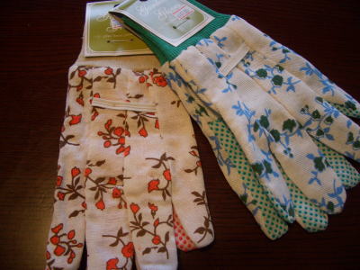 ɻԾ졡եŹ޴ۤǹޡʷ