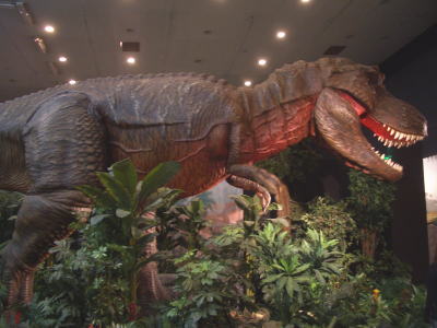 �ƥ���Υ����륹