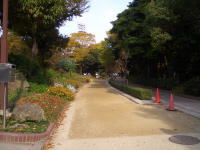 名城公園のジョギング道路