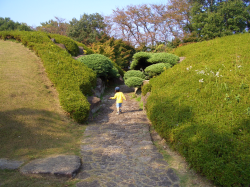 ������ʿ�