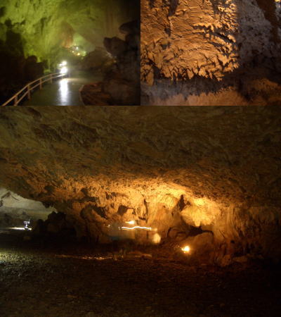 ���̴Ѹ�������