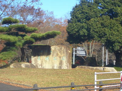 ��ĥ���Ԥˤ��밦�θ����Ӹ���