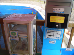 ���Υ���